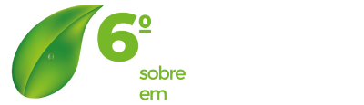 V Workshop